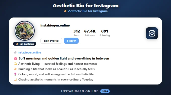 Aesthetic Bio for Instagram